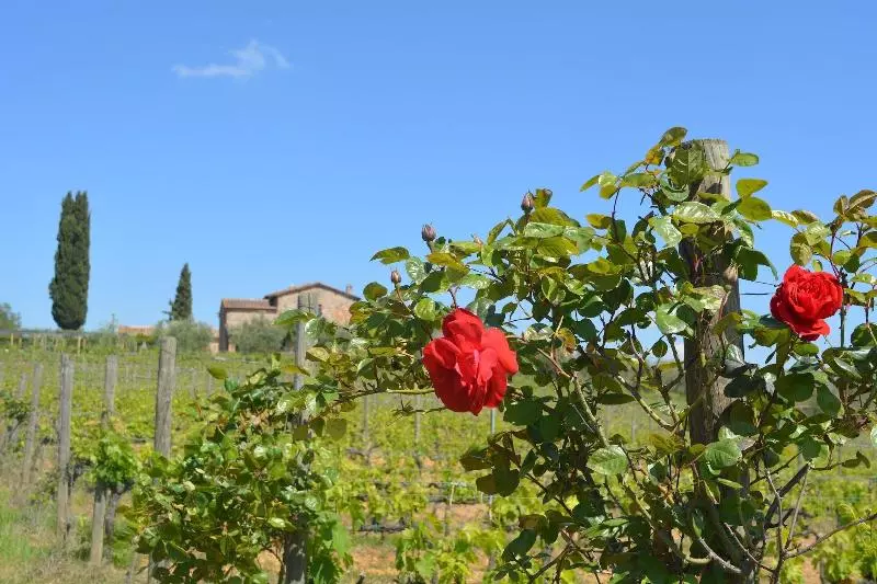 ホテル La Caminata