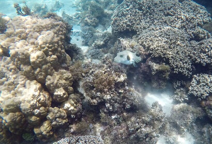 هتل Pension Te Miti Hostel