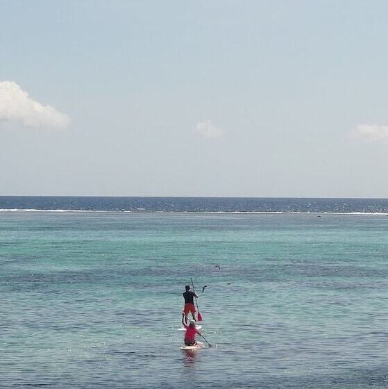 هتل Pension Te Miti Hostel