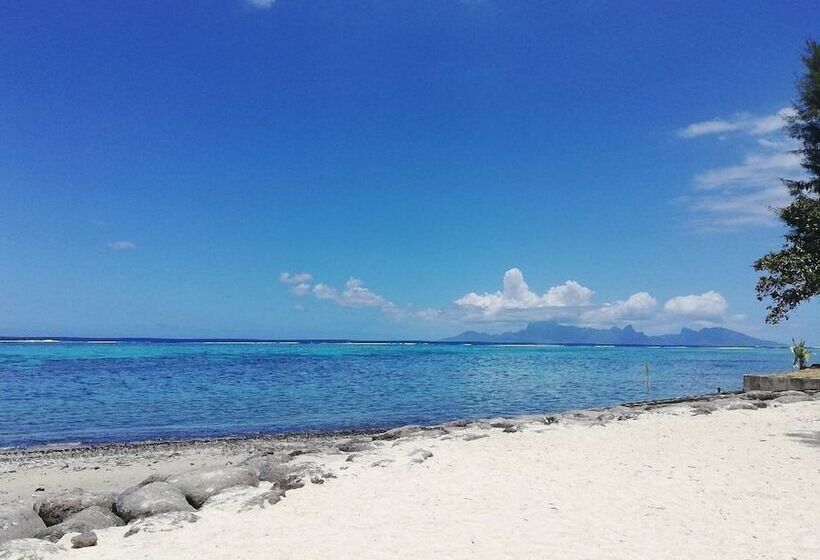 هتل Pension Te Miti Hostel