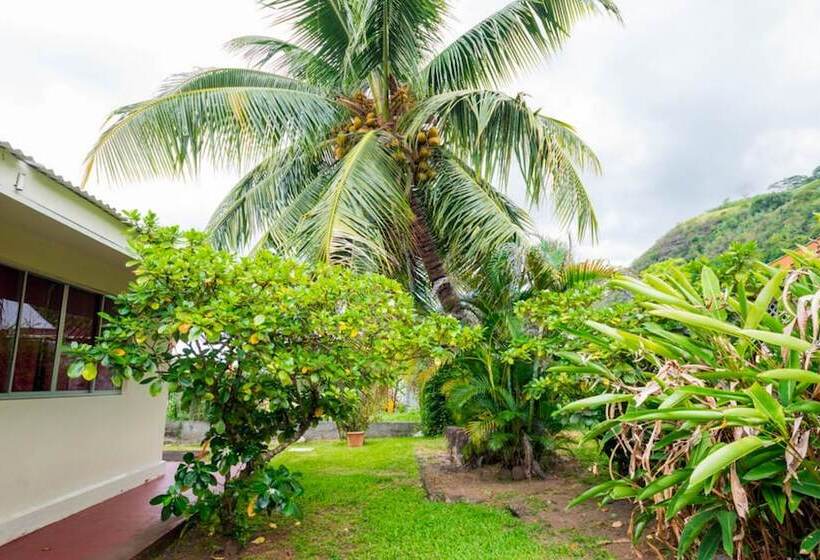 هتل Pension Te Miti Hostel