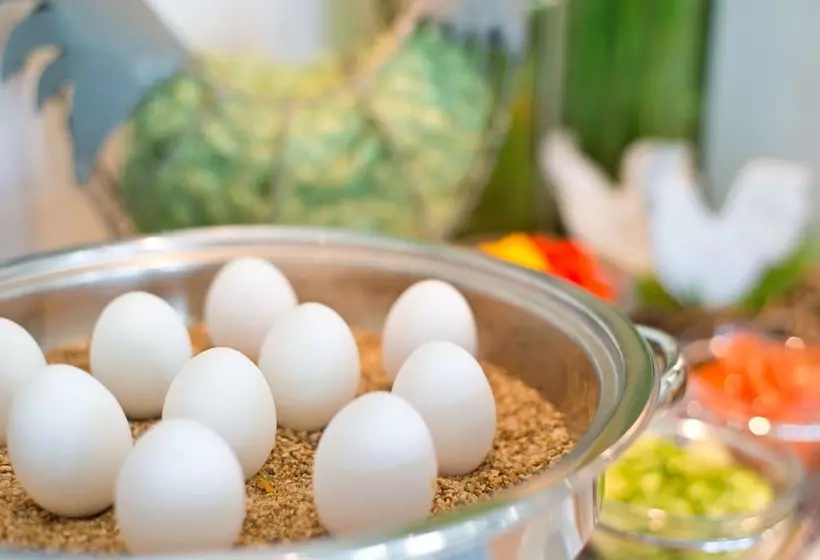 Achat Hotel Monheim Am Rhein