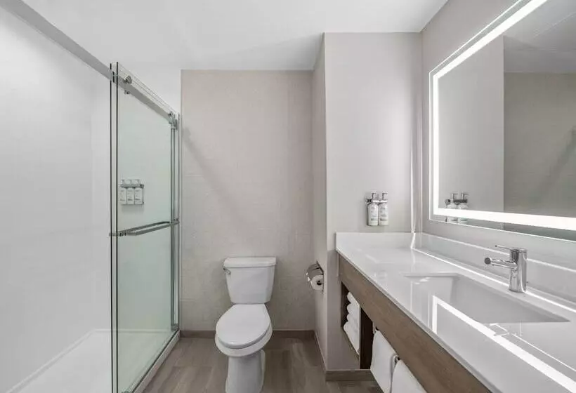 Szálloda Holiday Inn Express San Diego   Sorrento Valley, An Ihg