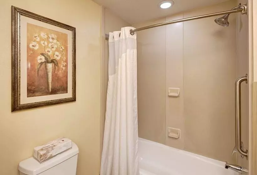 Szálloda Holiday Inn Express San Diego   Sorrento Valley, An Ihg