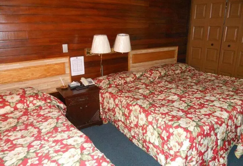 호텔 Mediterráneo Plaza