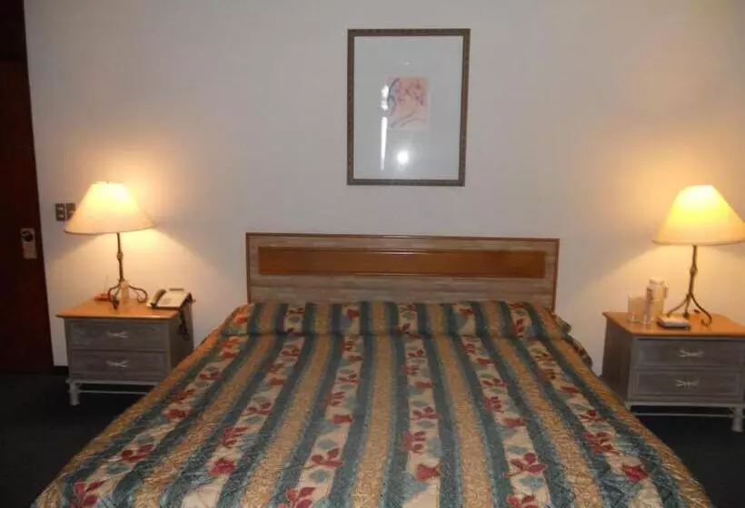 호텔 Mediterráneo Plaza