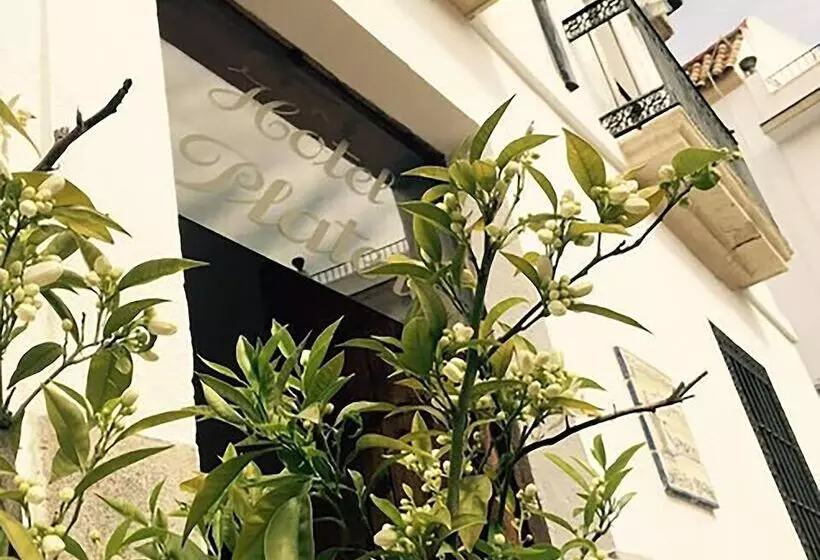 Hotel Plateros