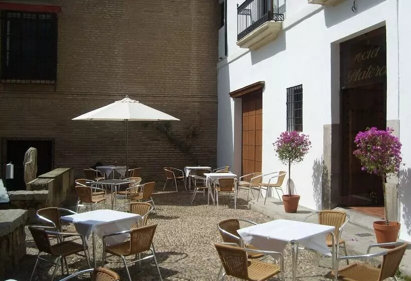 Hotel Plateros