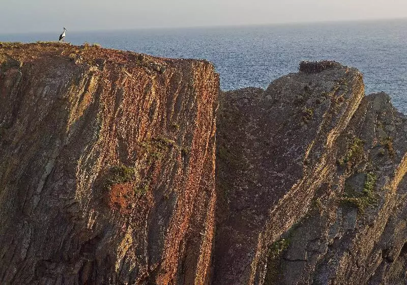 Сельский отель Herdade Do Touril