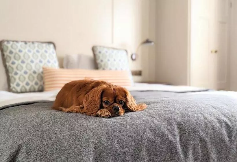 هتل Richmond Hill