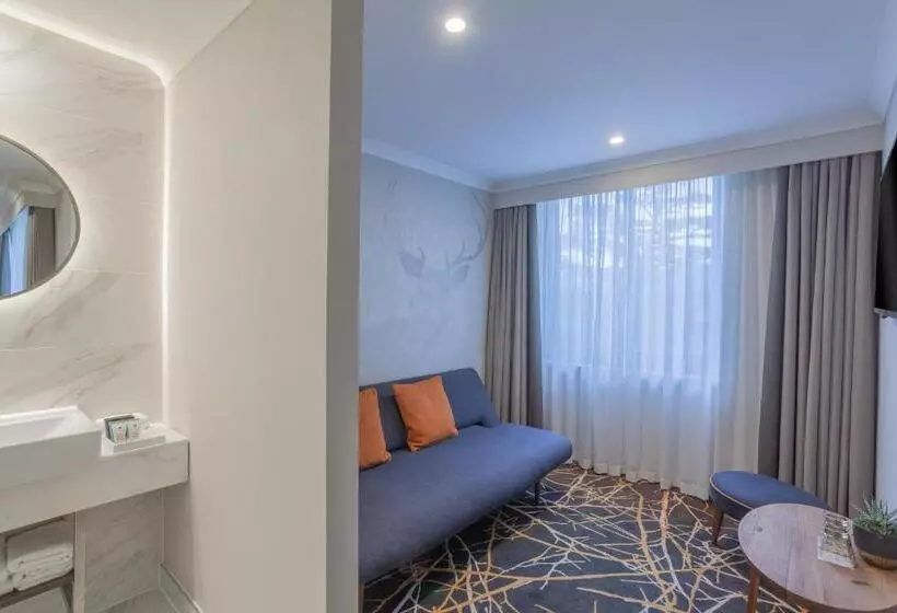 هتل Richmond Hill