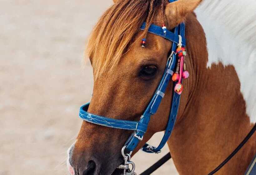 The Peri Hotel Hua Hin