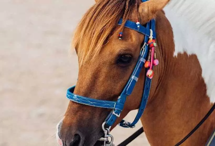 The Peri Hotel Hua Hin