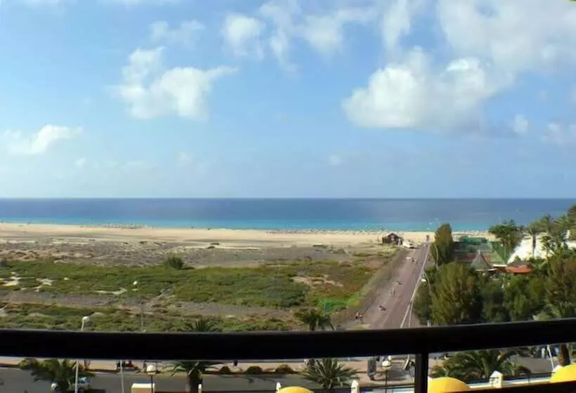 Apartamentos Palm Garden By Livvo