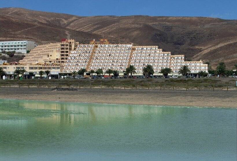 Apartamentos Palm Garden By Livvo