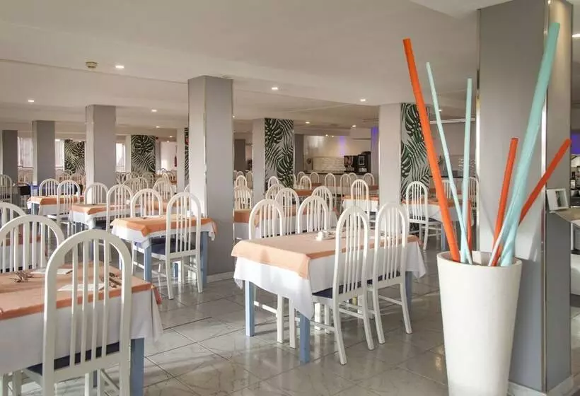 Apartamentos Palm Garden By Livvo