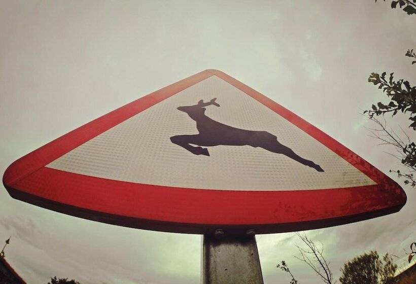 Gran Hotel Pandorado