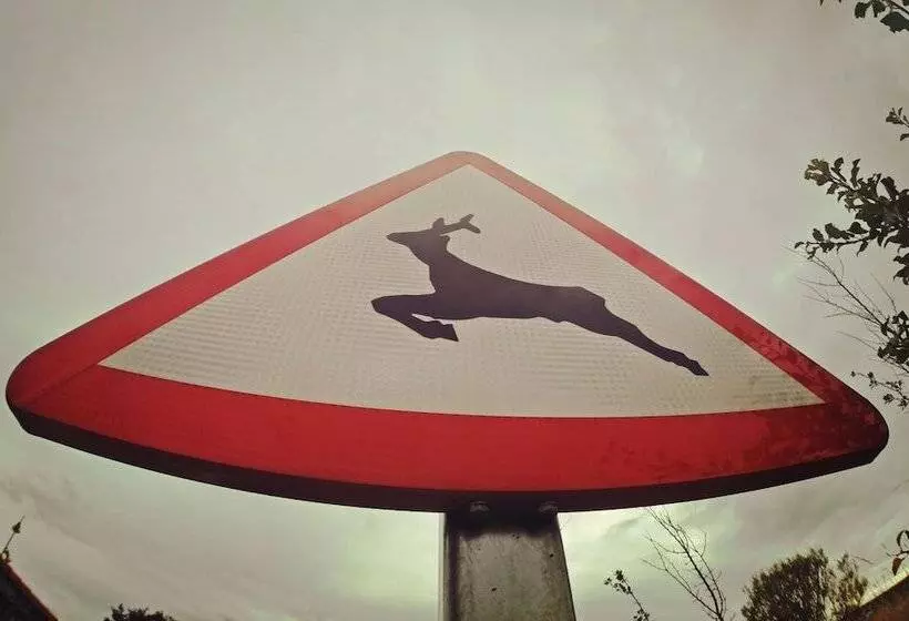 Gran Hotel Pandorado