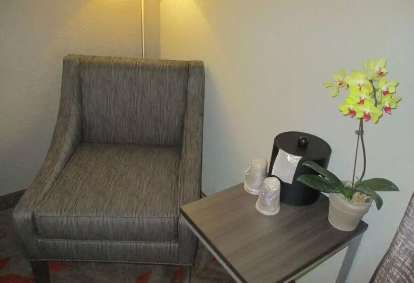 Hotel Best Western Plus North Joliet