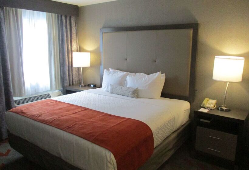 فندق Best Western Plus North Joliet