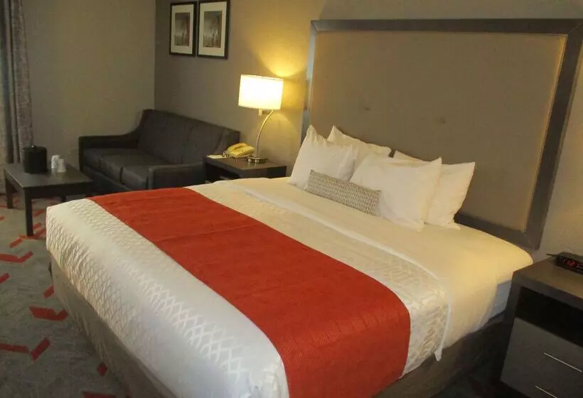 Hotel Best Western Plus North Joliet