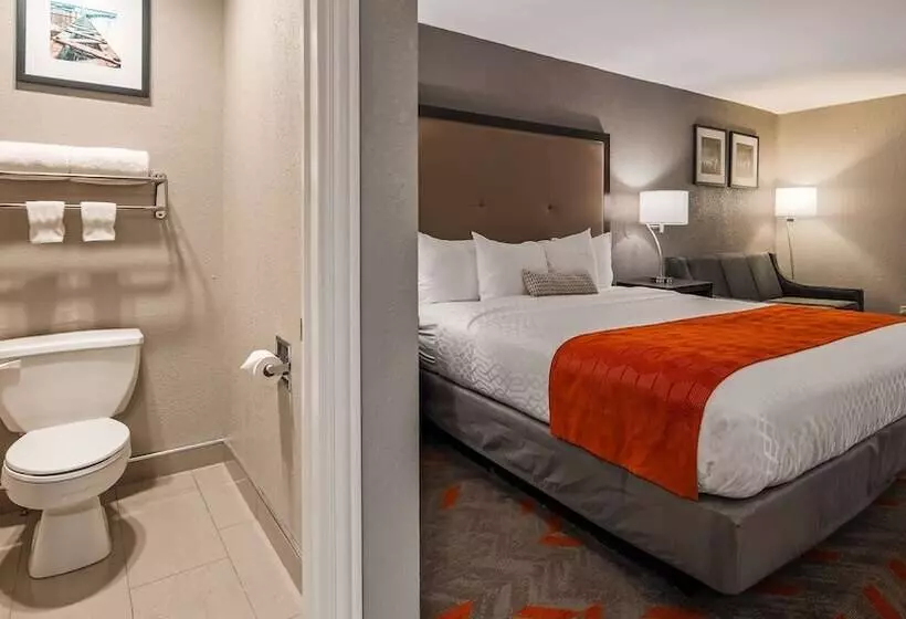 Hotel Best Western Plus North Joliet