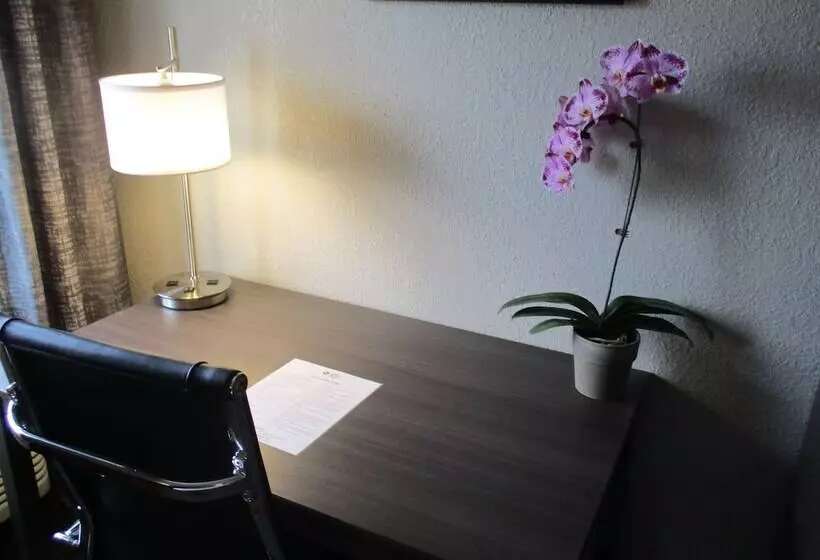 Hotel Best Western Plus North Joliet