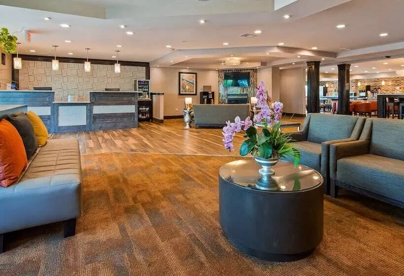 Hotel Best Western Plus North Joliet