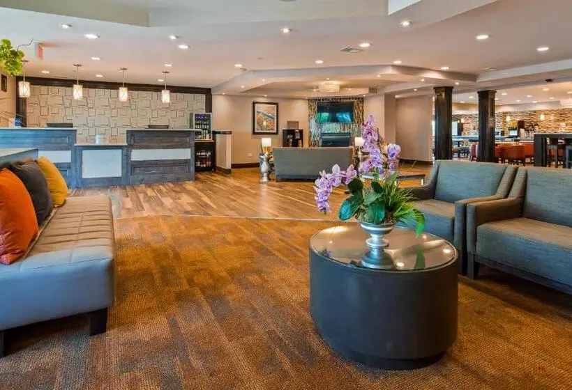 Hotel Best Western Plus North Joliet