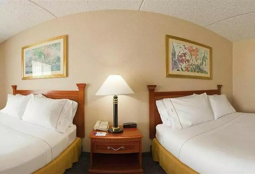 Otel Comfort At Findley Lake