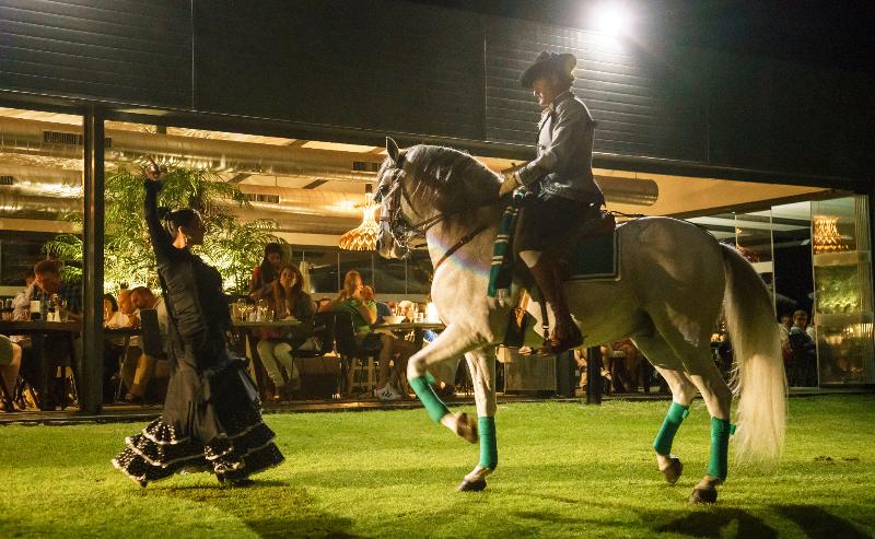 Hôtel Ilunion Calas De Conil