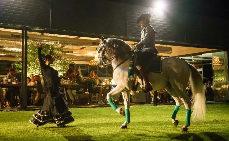 בית מלון כפרי Ilunion Calas De Conil