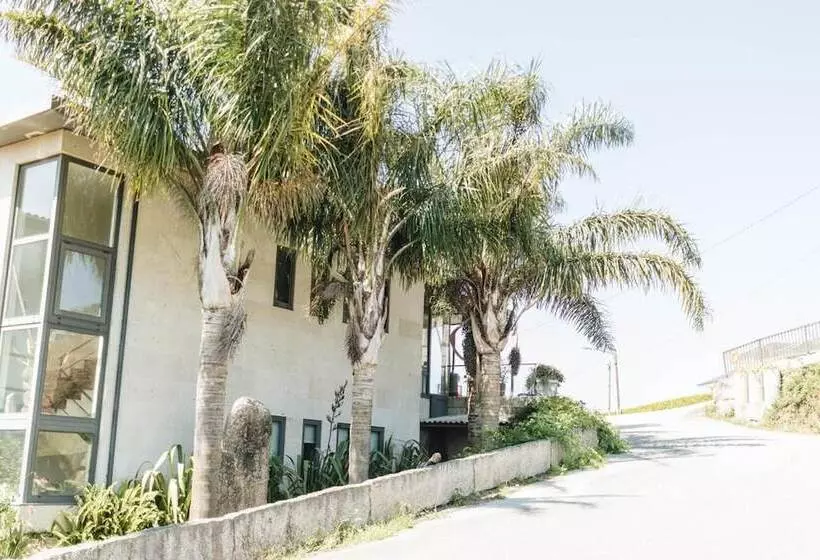 Отель Peregrina