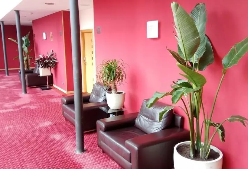 Отель Peregrina