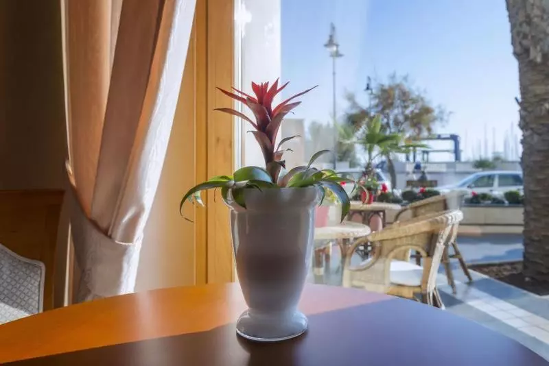 호텔 Astura Palace