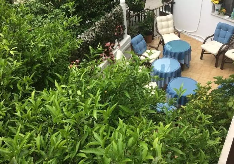 호텔 Pettite Morfo