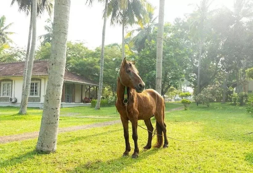 호텔 Tamarind Tree Garden Resort