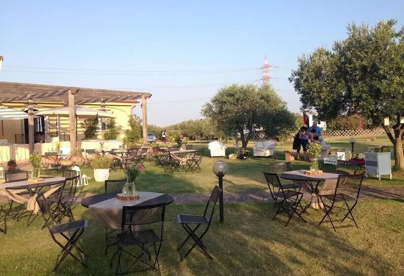 Отель Tanca Irde