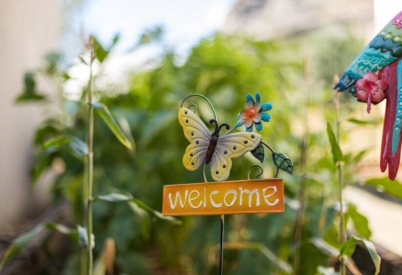 Theatro Hotel Odysseon