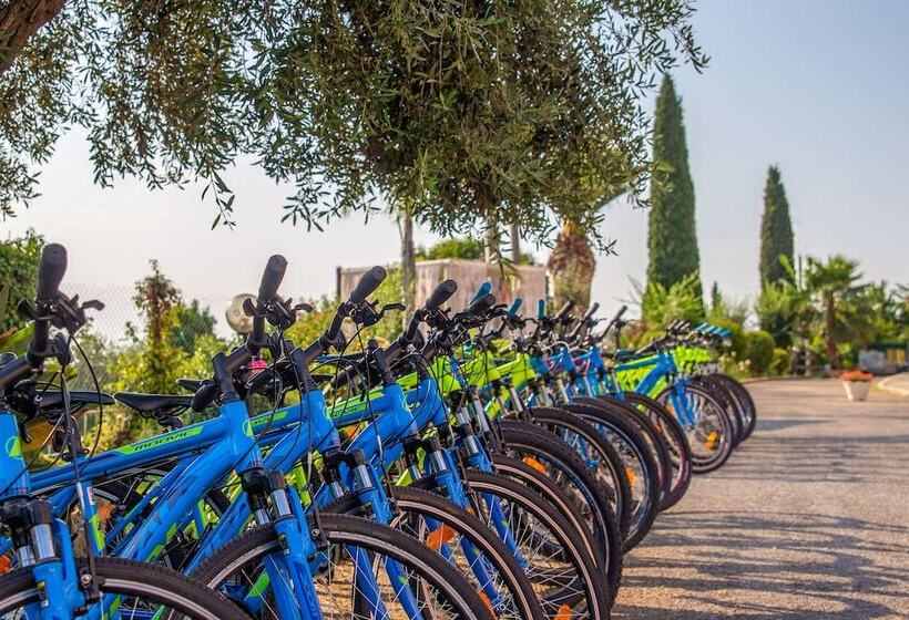 فندق Victoria Hill