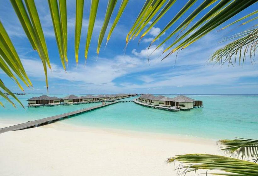 منتجع Villa Nautica at Paradise Island