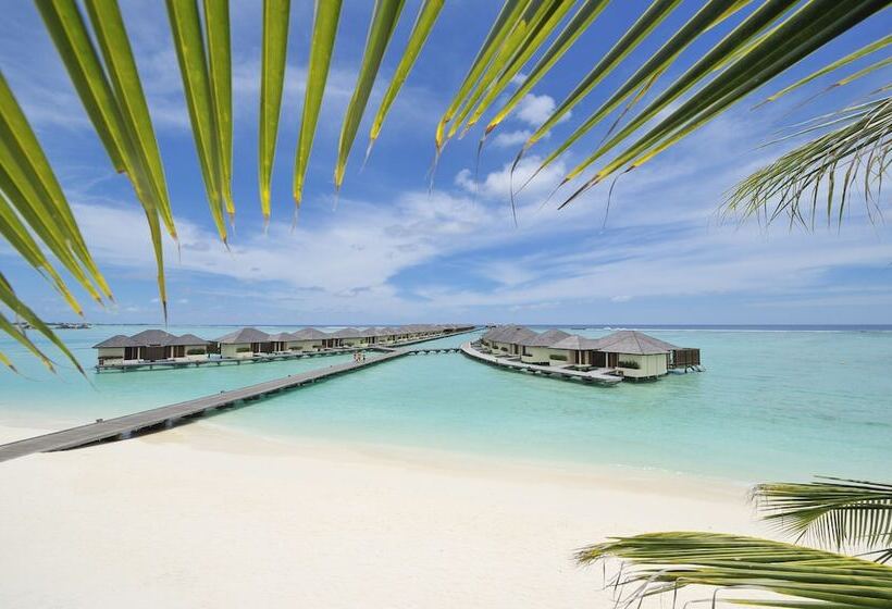 منتجع Villa Nautica at Paradise Island