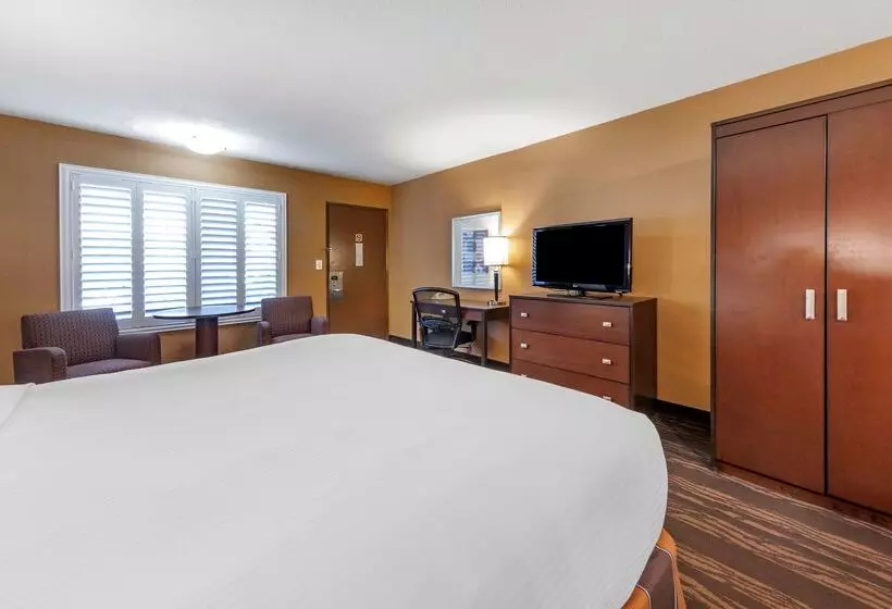 酒店 Best Western Plus Stovall S Inn