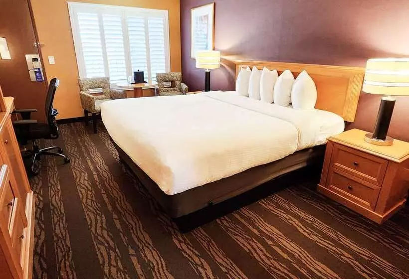 酒店 Best Western Plus Stovall S Inn