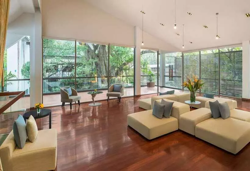 Отель Millennium Hilton Bangkok