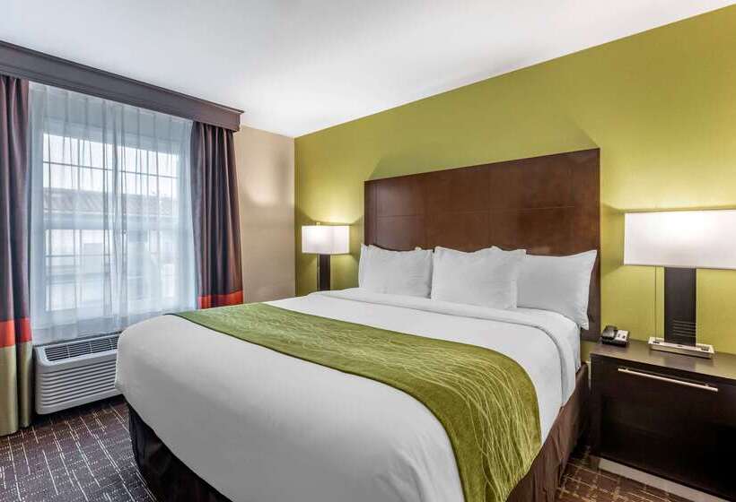 酒店 Comfort Inn San Diego Old Town