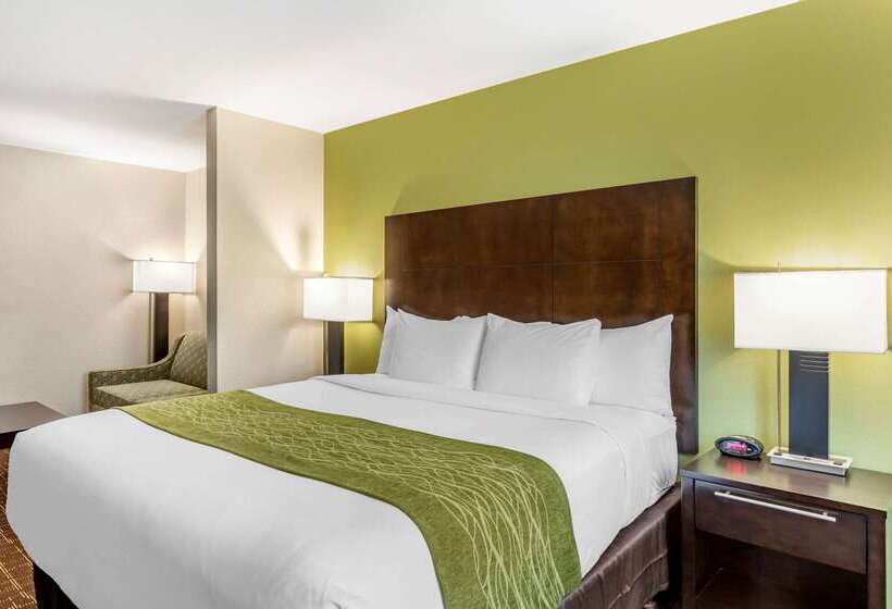 酒店 Comfort Inn San Diego Old Town