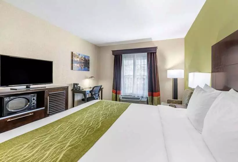 هتل Comfort Inn San Diego Old Town