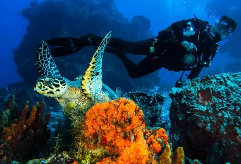 酒店 Cozumel Palace All Inclusive