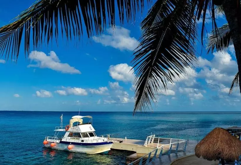 酒店 Cozumel Palace All Inclusive